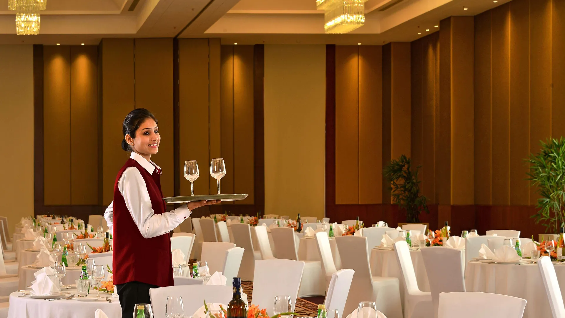 **** Hotel Park Plaza Chandigarh Zirakpur India